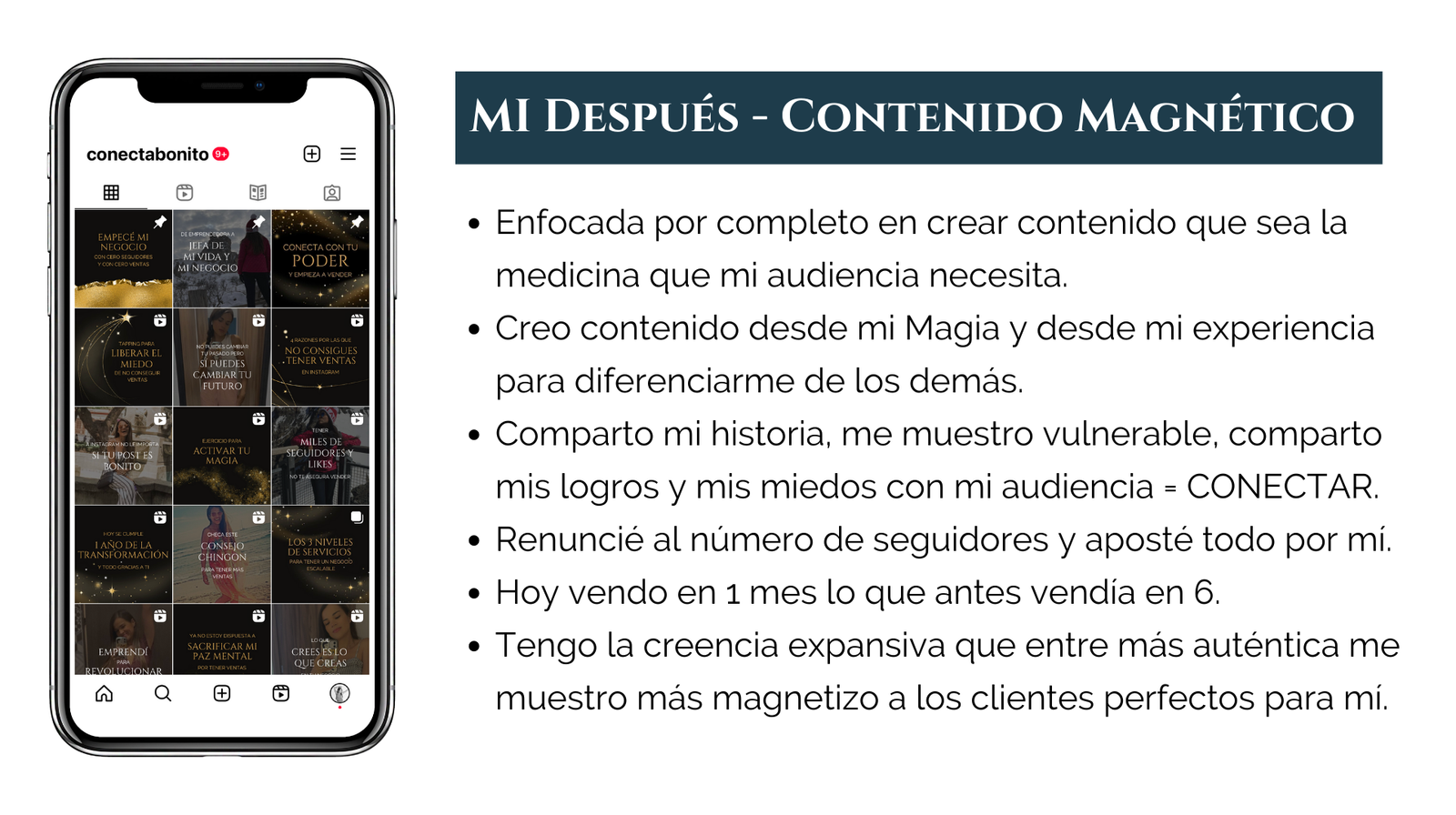 Magnetic sitio web (46)