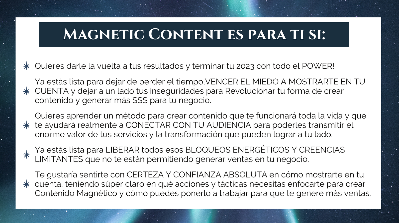 Magnetic sitio web (47)
